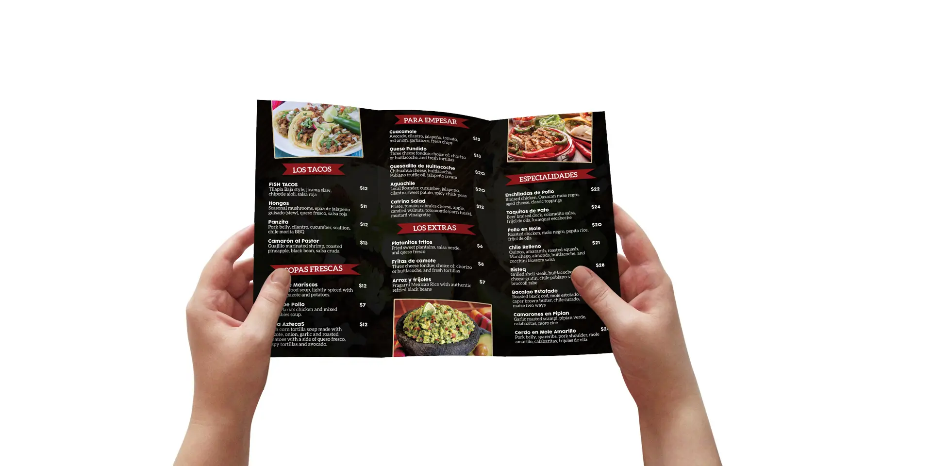 trifold mockup 6