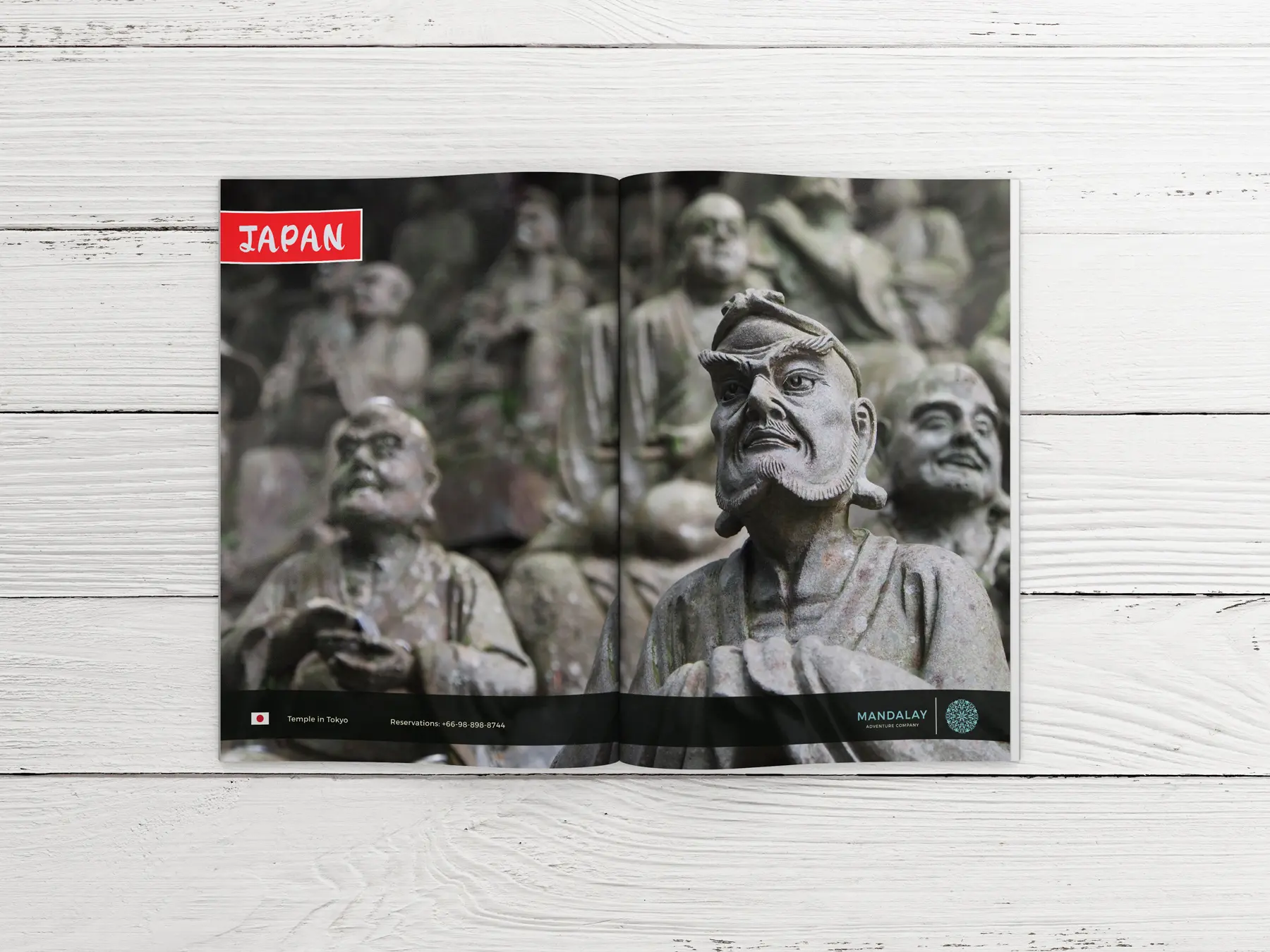 Japan Travel Print Advertising