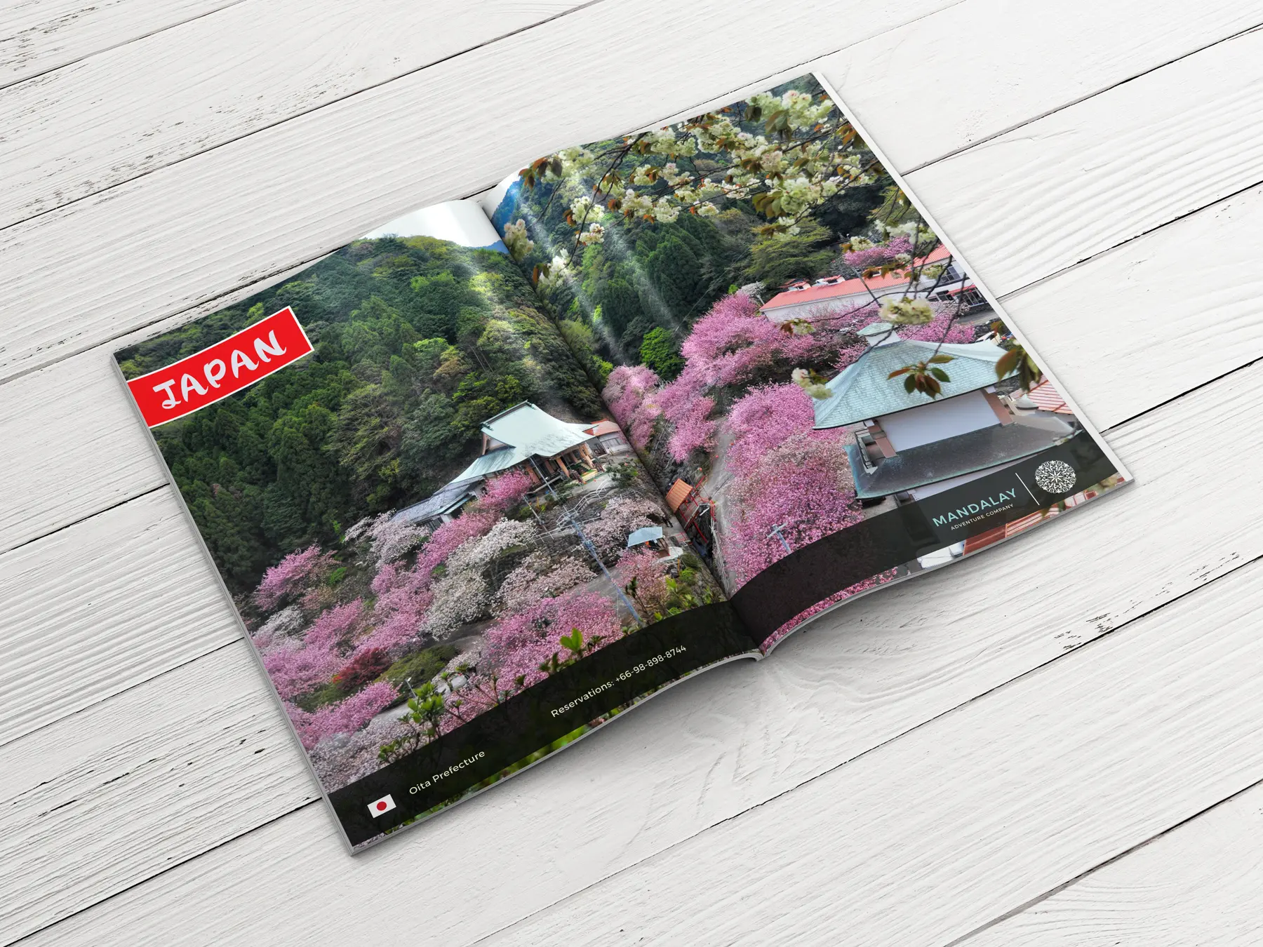 Travel Agency Advertisign Campaign